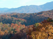 Pigeon Forge, TN Attractions